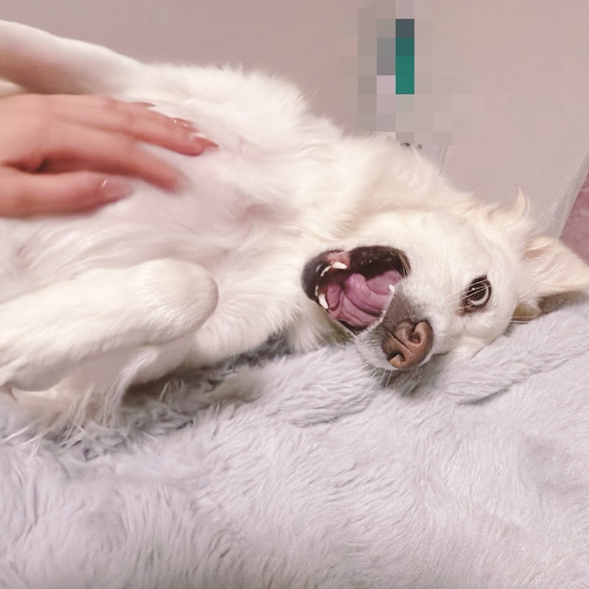 クラブグリム・小牧店日記1632404