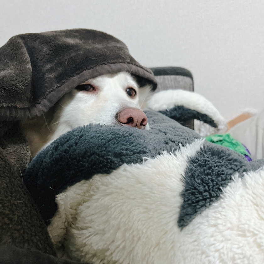 クラブグリム・小牧店日記1591007