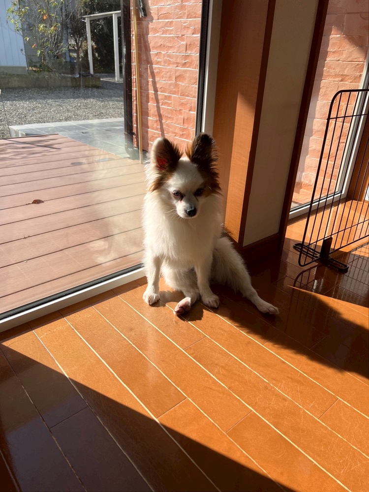 三日坊主が3週間続いたらいい方