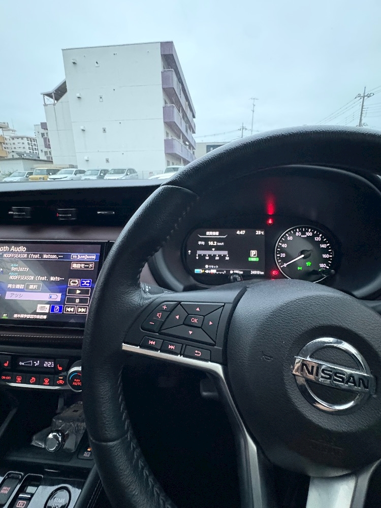 一条 葵