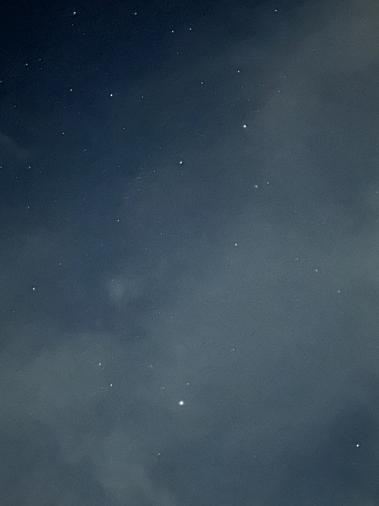 一条 葵
