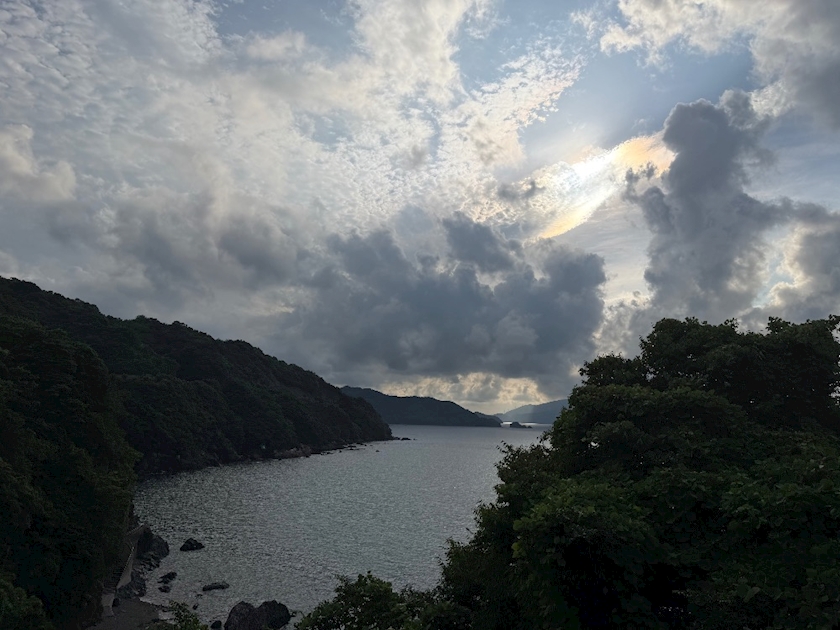 一条 葵