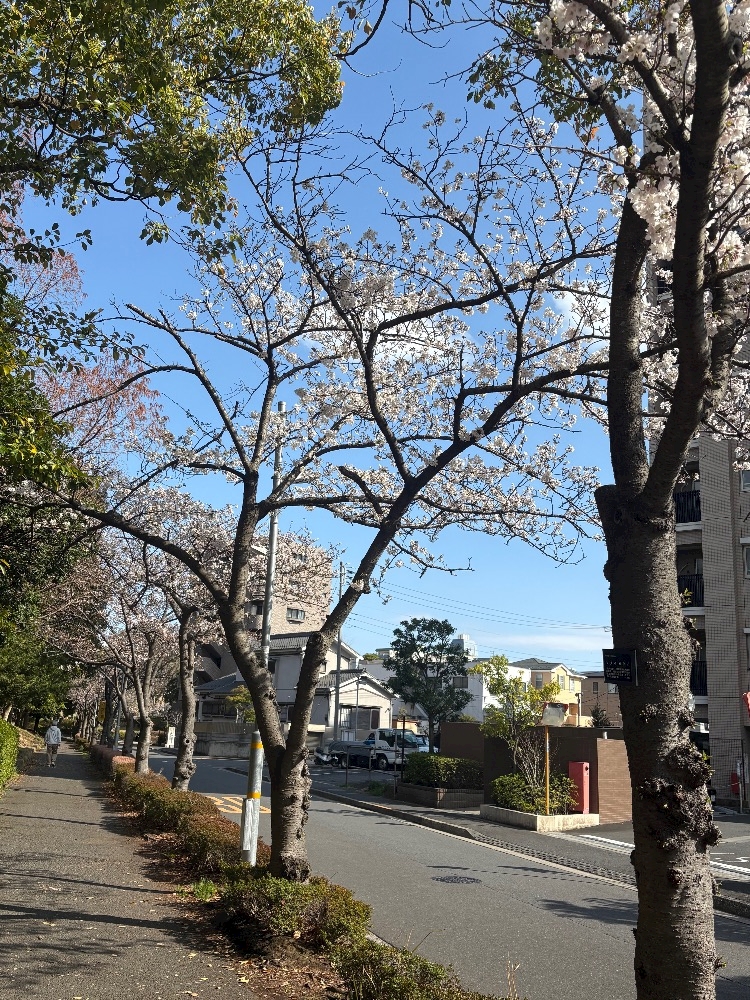 西船橋 VELLUGUE日記1624169