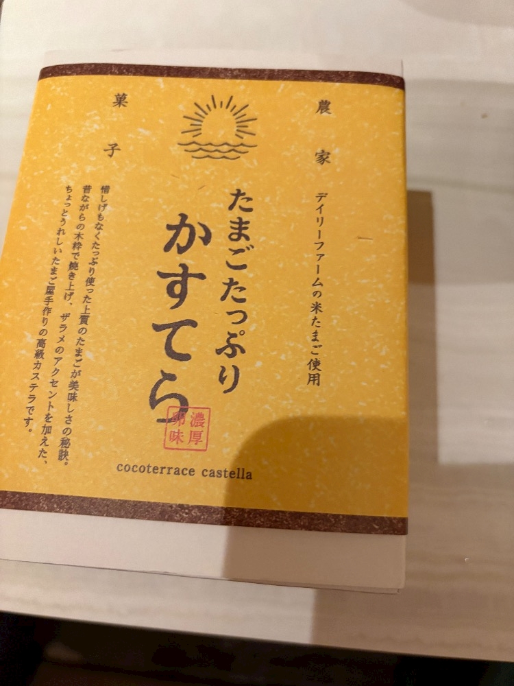 一条 葵