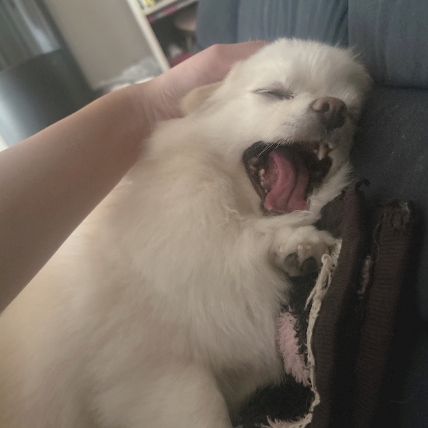 ママ七瀬　あや