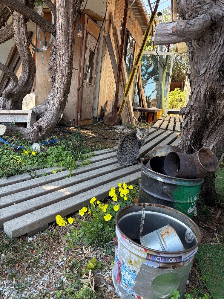 クラブグリム・浜松千歳店日記1619917