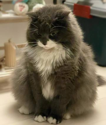 . . . 昨日は投稿で･･･