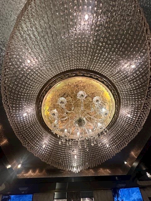 LP TOKYO日記1561162