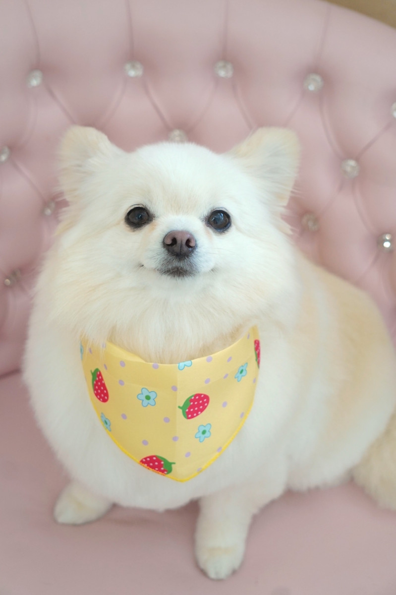 ママ七瀬　あや