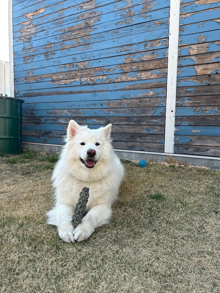 Bar Space Queen日記1624732