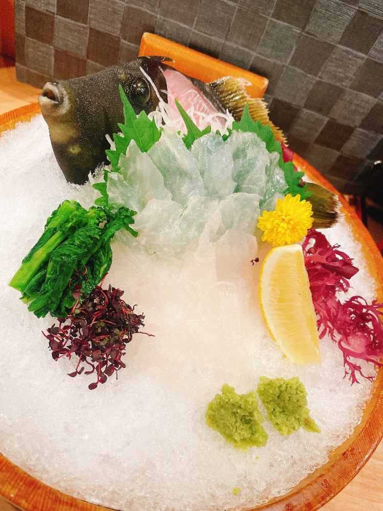 おかえりなさい日記1551684