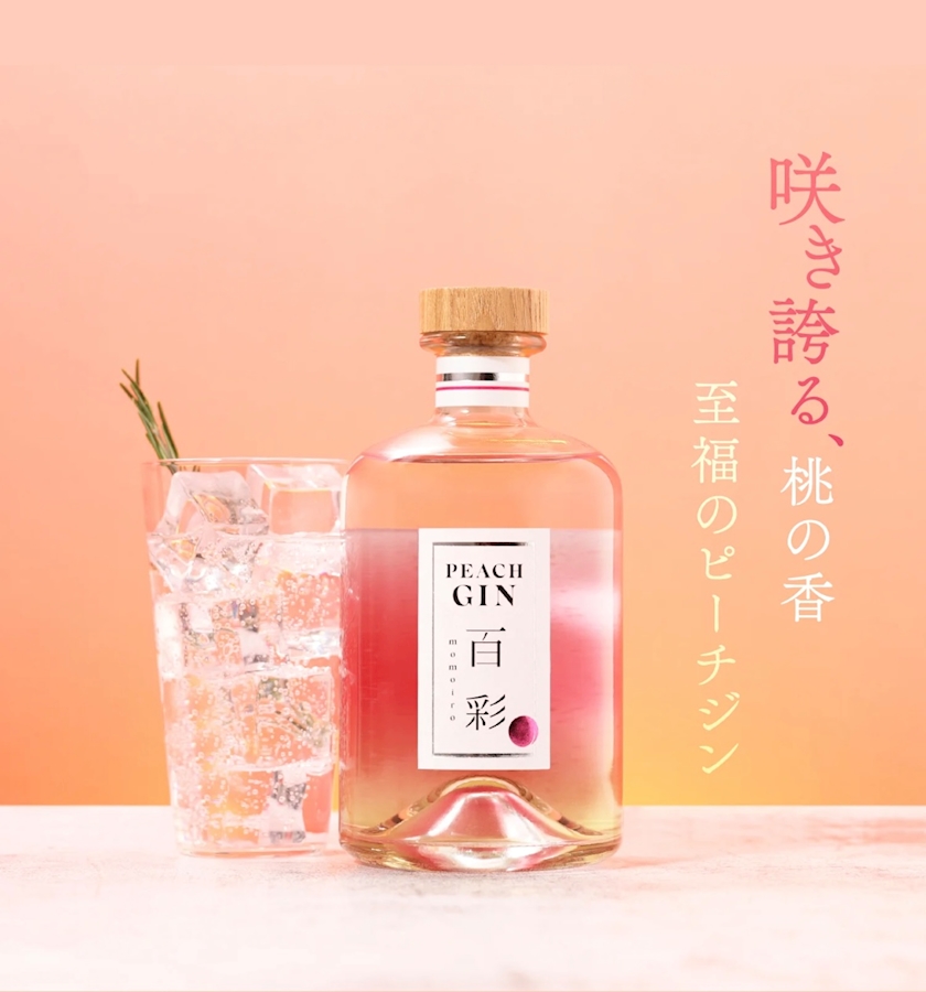 一条 葵