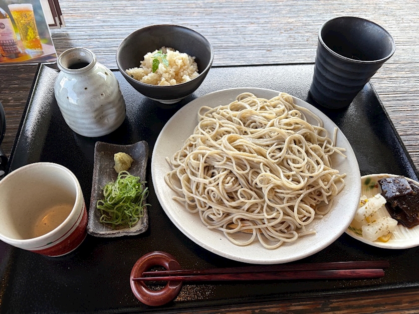 一条 葵