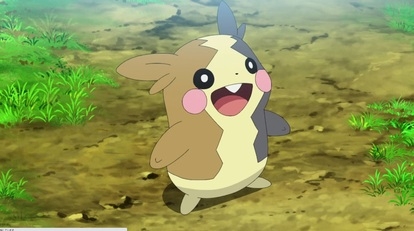 最近のお気に入り🐶🤍