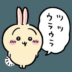 一条 葵