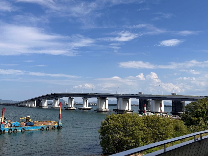 一条 葵