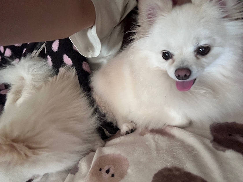 ママ七瀬　あや