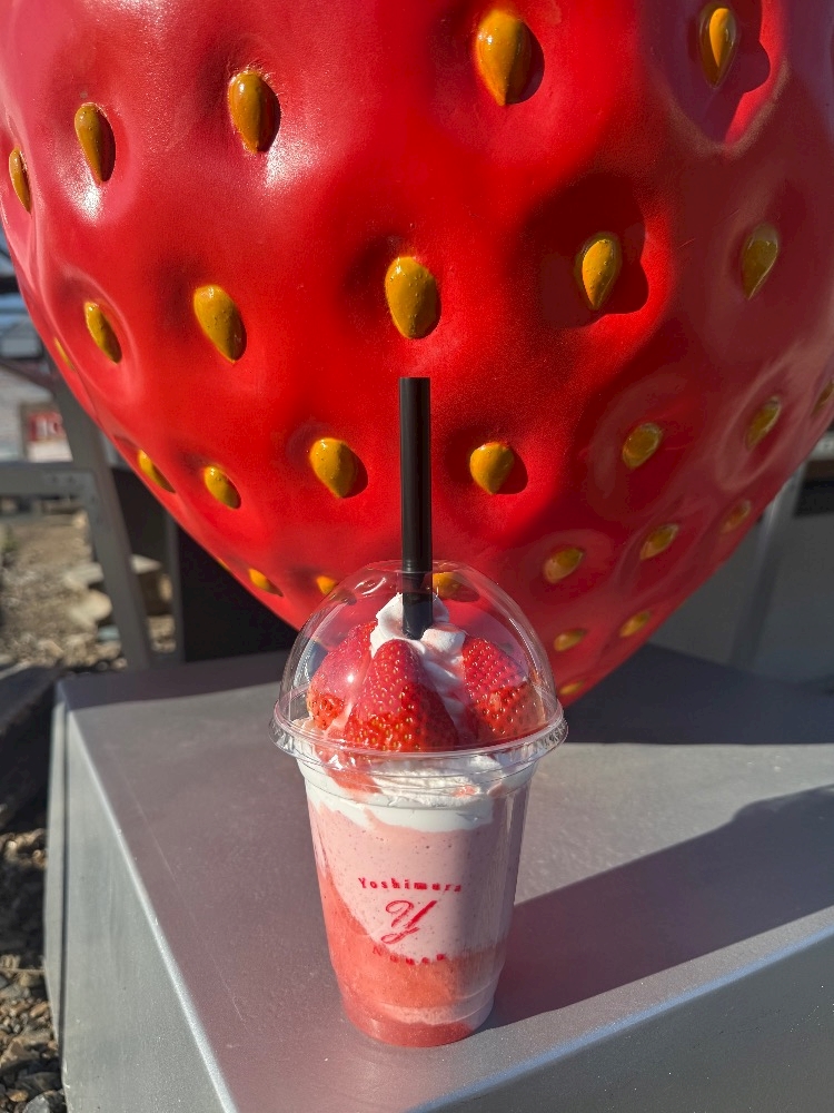 Club Twelve日記1612543