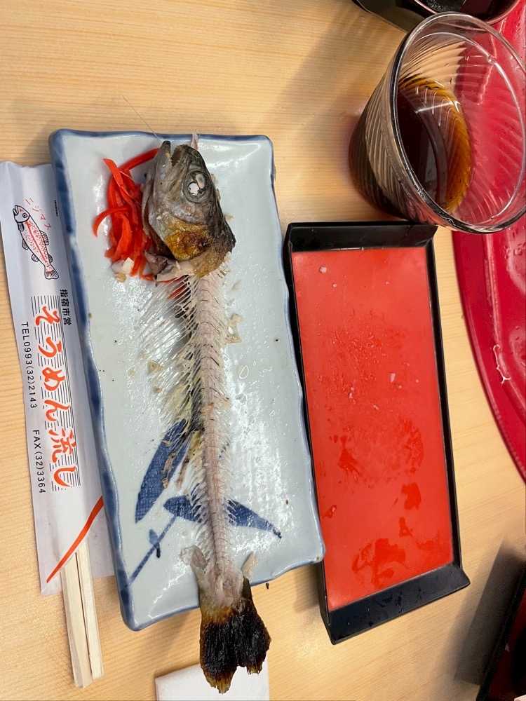 夏に行きたい場所は？