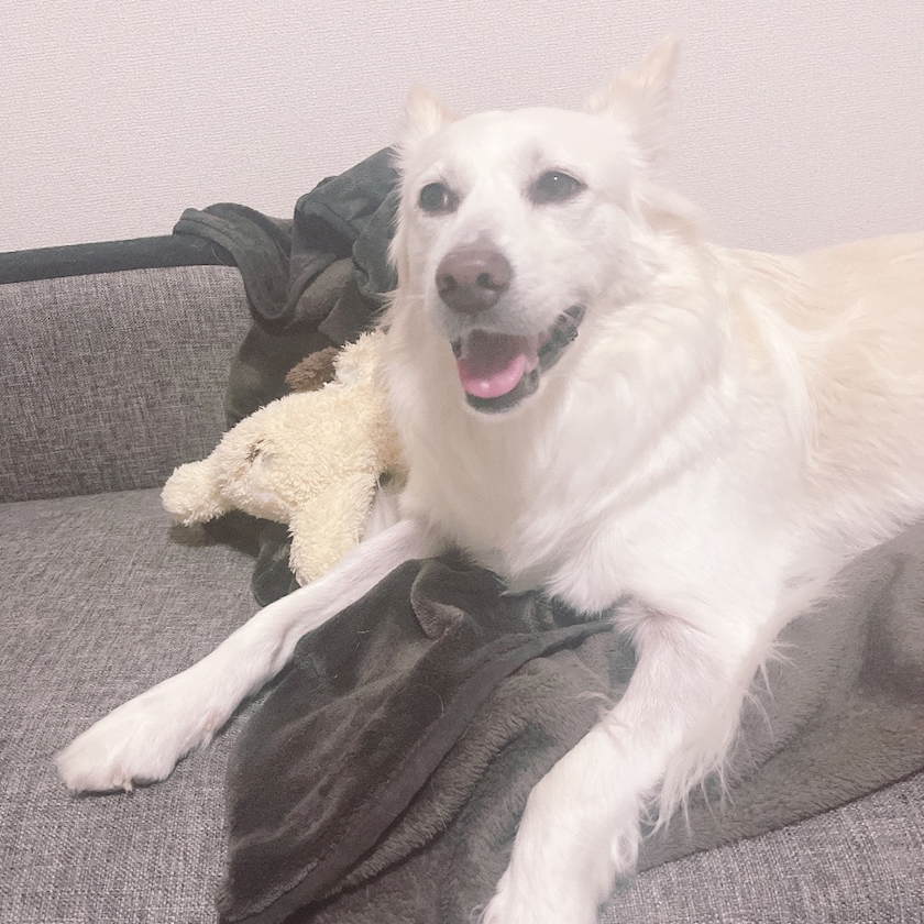 クラブグリム・小牧店日記1556356