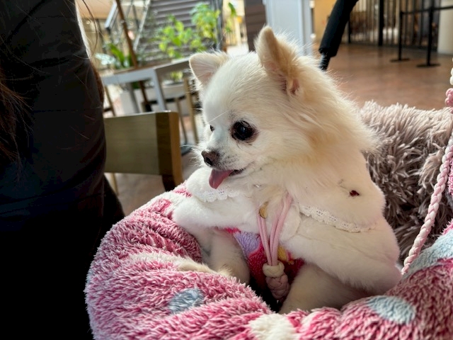 CLUB HANAN 守山店日記1549570