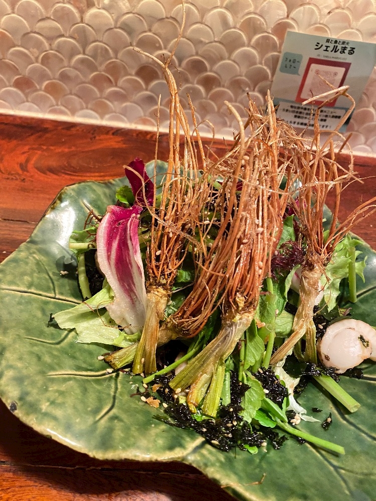 WISTERIA日記1590212