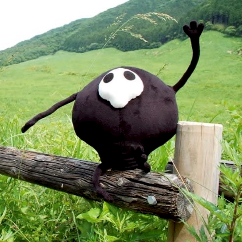 一条 葵