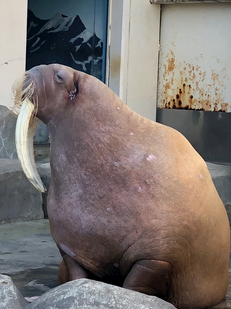 ThePARIS日記1590307