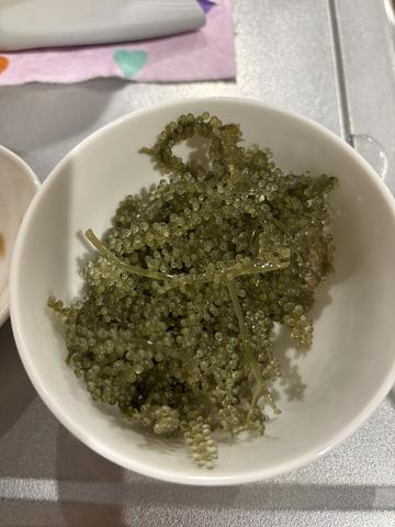 神永 莉聖