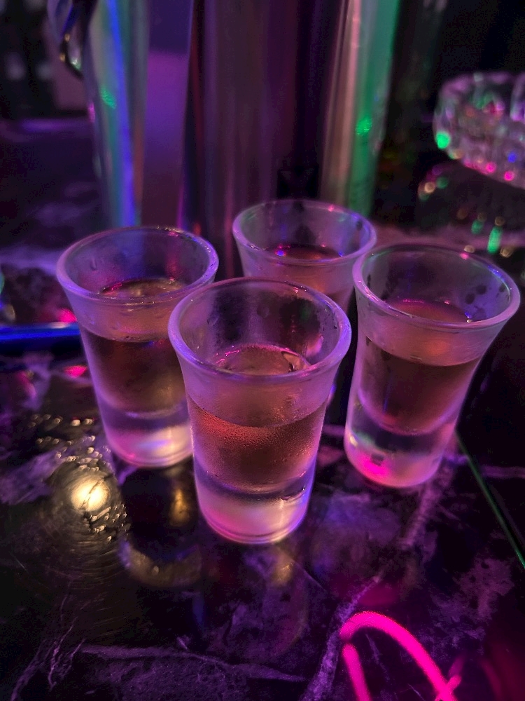 一条 葵