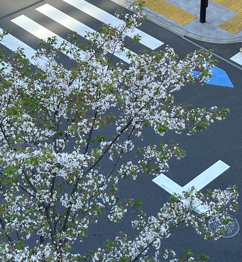 Vivienne日記1634658