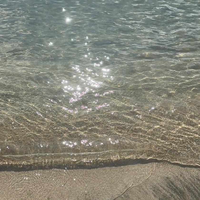 CLUB CARA (朝)日記1151221