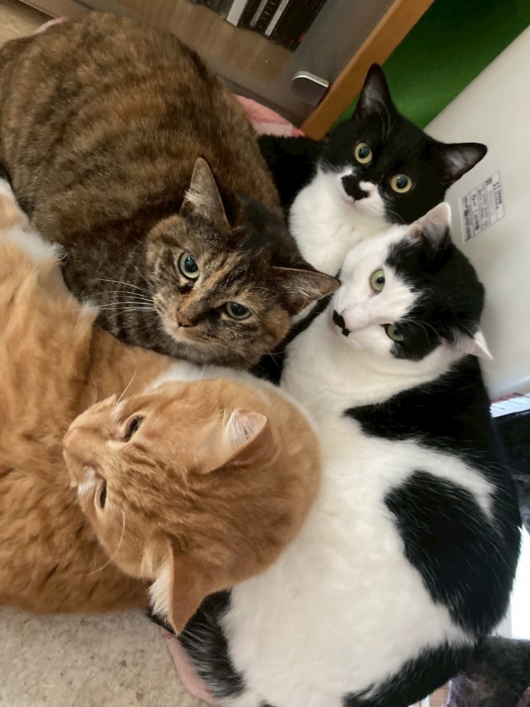 おかえりなさい日記1630166