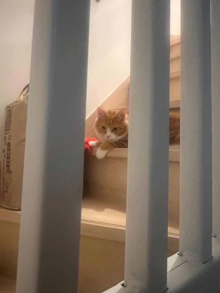 Club Twelve日記1646462