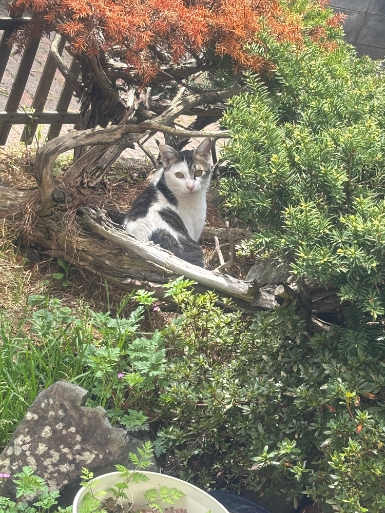 Lounge L’Atelier日記1632964