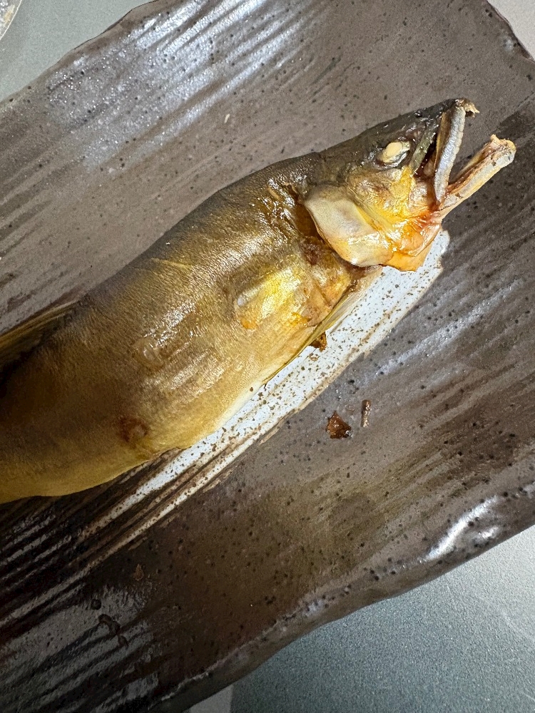 CLUB ONE CHAN -北新地店-日記1548252