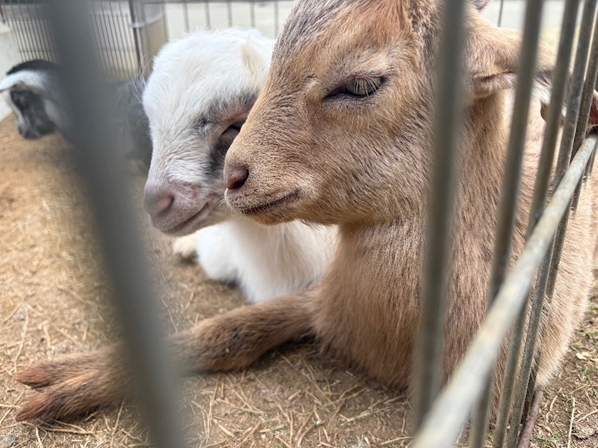 ThePARIS日記1640580