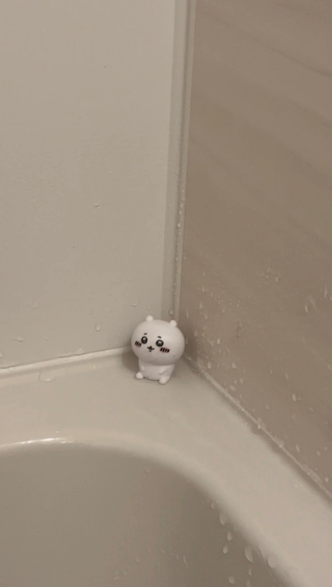 一条 葵
