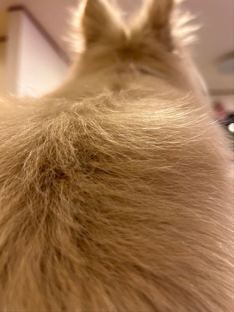 毎回予定組む時間が早いことを後悔する