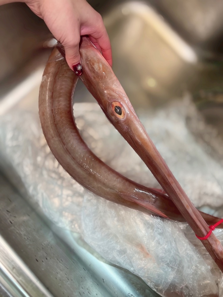 WISTERIA日記1588008