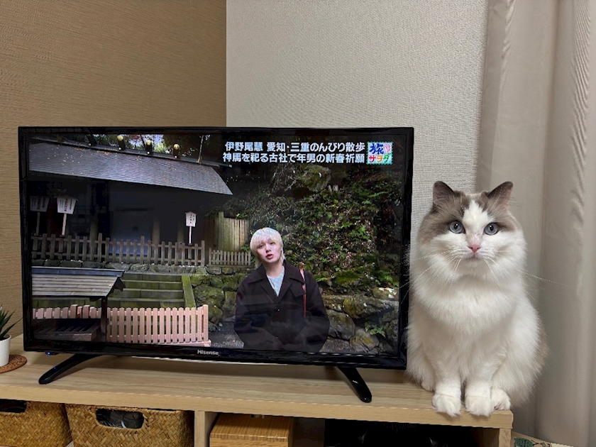 クラブグリム・浜松千歳店日記1576302