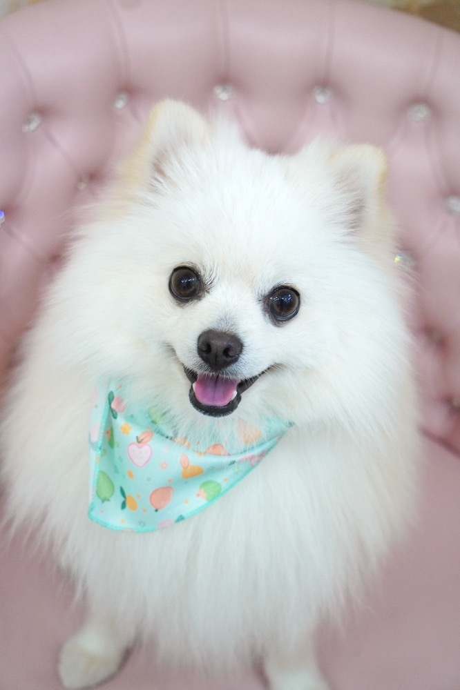 ママ七瀬　あや