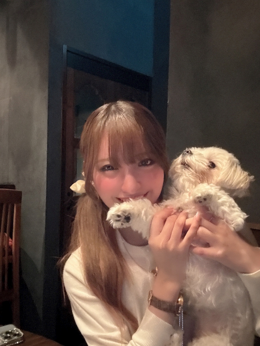 Angel Feather日記1649409