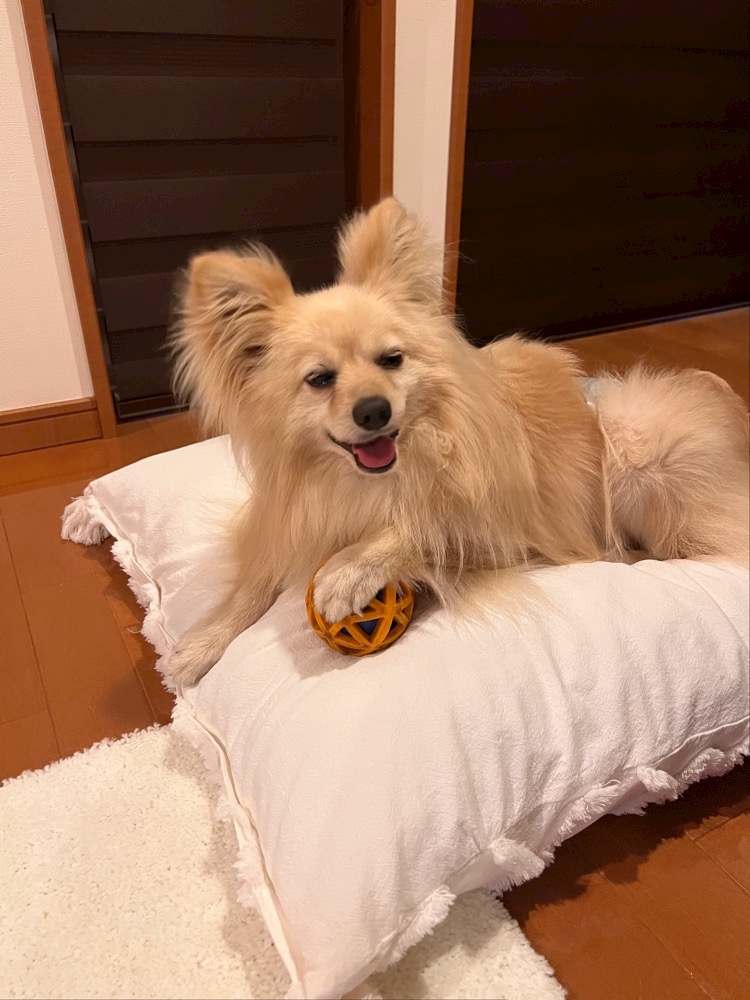 早起きはなんちゃら