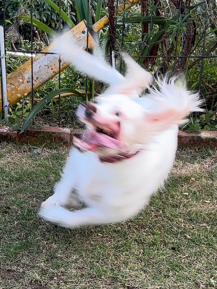 CLUB IDENTITY日記1635771