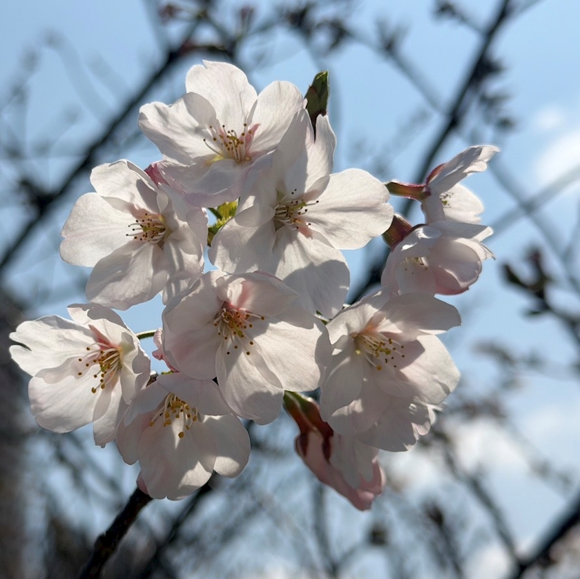 ThePARIS日記1634813