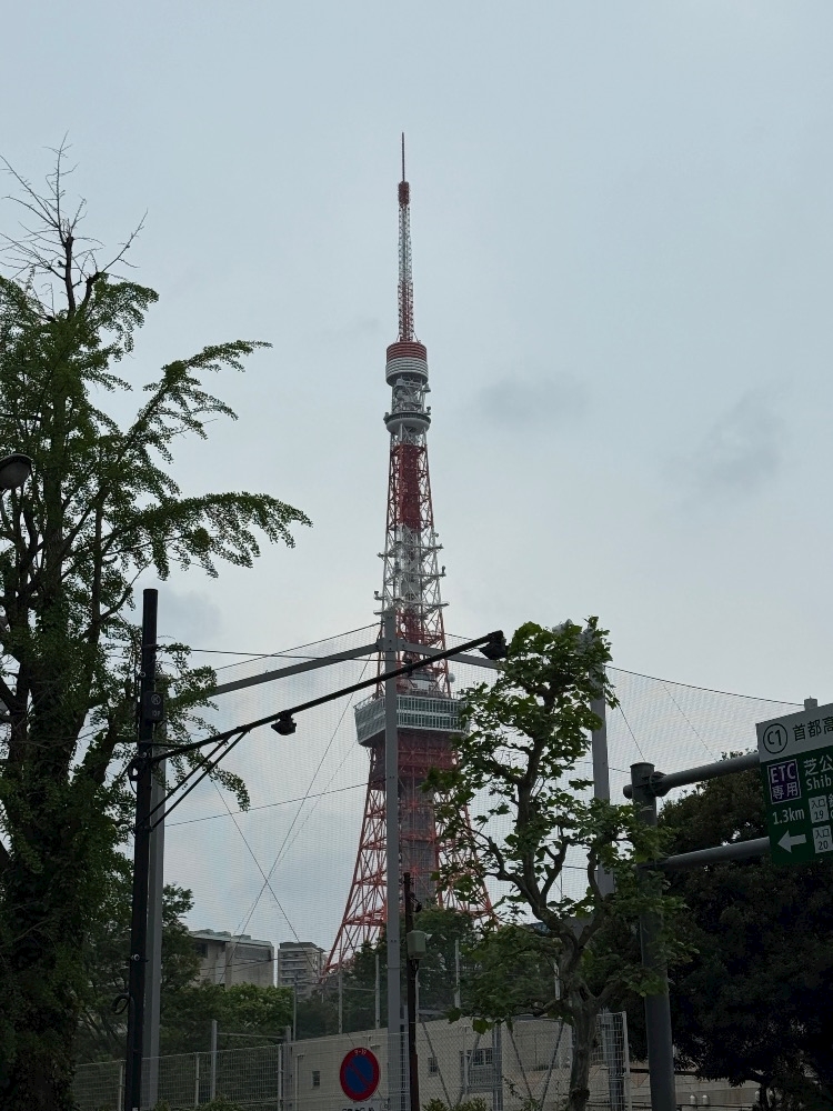 一条 葵