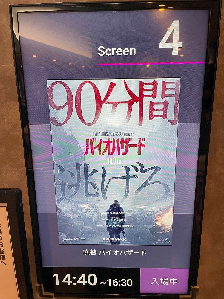一条 葵