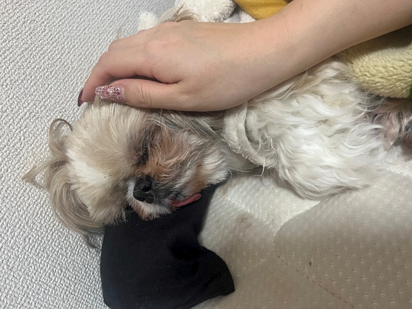 CLUB ONE CHAN -ミナミ心斎橋店-日記1573306