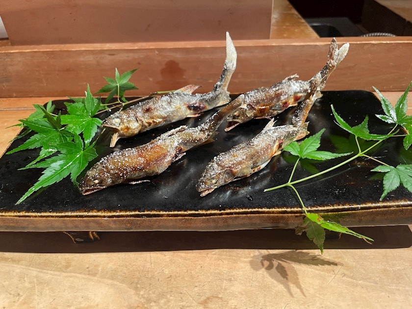 一条 葵